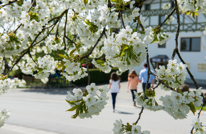 [Translate to Englisch:] Hotel Zum Koch Natur