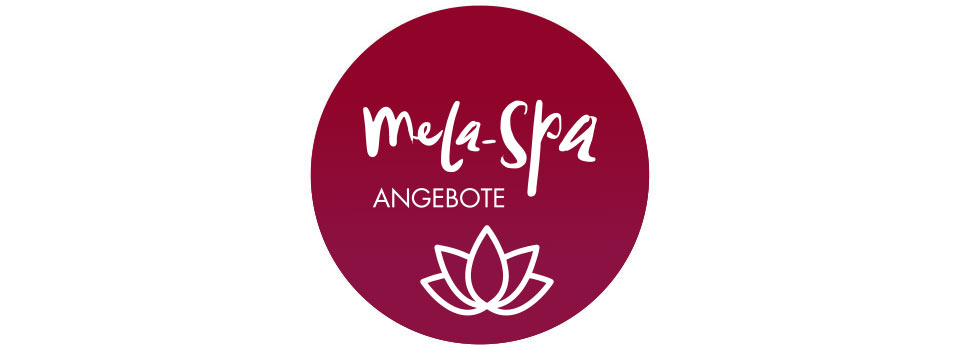 Download Spa Icon